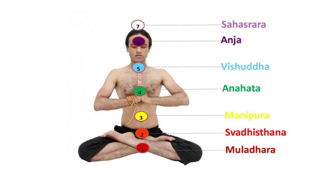 Yoga Poses for Chakras | Balance Your Seven Energy Centers
